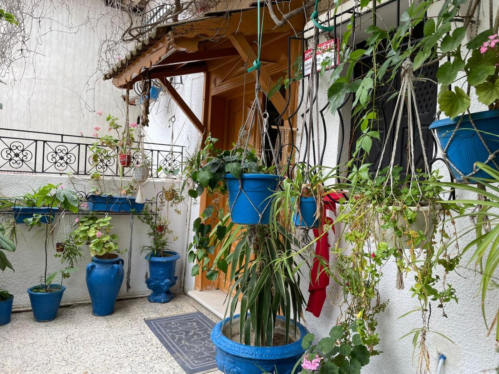 Casa Zitouna - Guest House - Kef, Tunisia El Kef Exterior photo